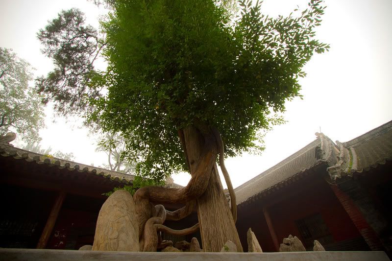 Shao_Lin_Si_24.jpg