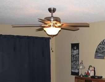 New Ceiling Fan!