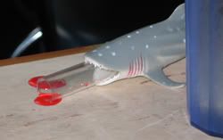 Shark Bleeding from Mouth!