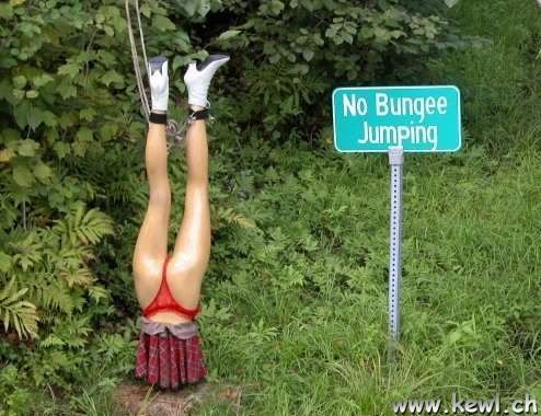 NoBungeeJump.jpg