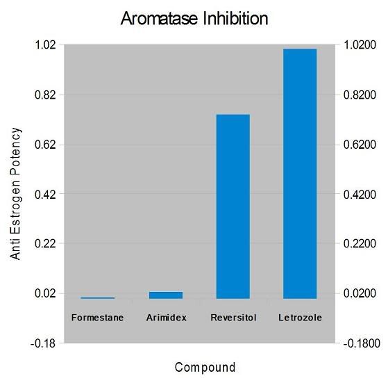Letrozole Bodybuilding Forums