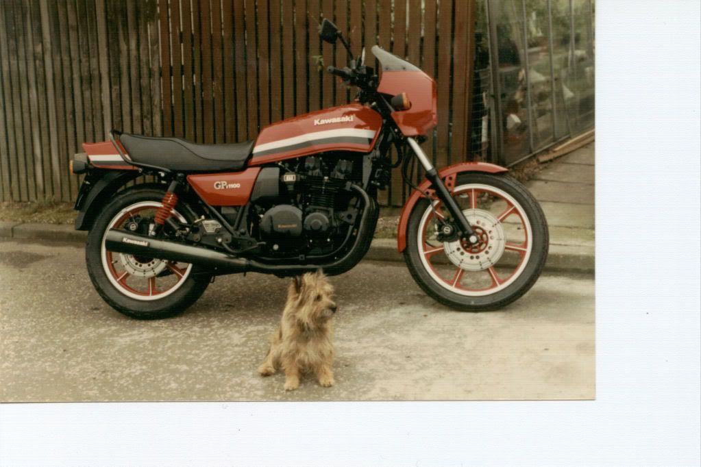 GPZ11004.jpg