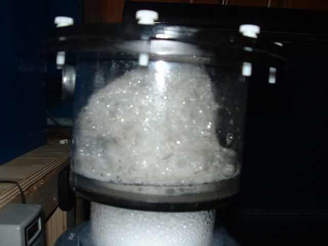 foam1.jpg