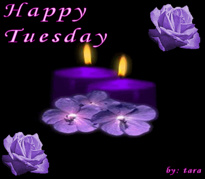 purple flower &amp; candles