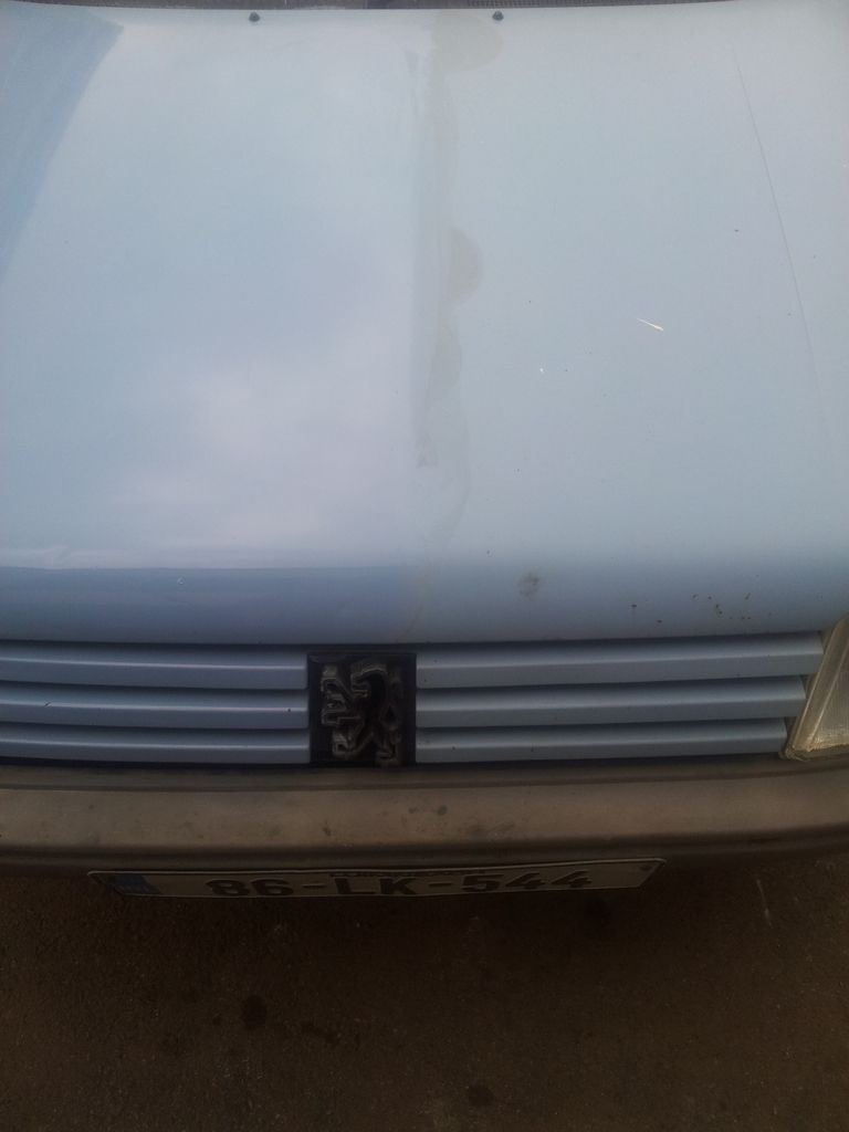 IMG-e4b5c049a9369fac03a90934a176e506-V_z