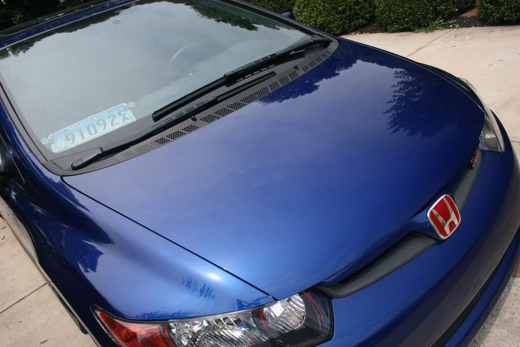 Whats good with your front license plate? 8th Generation