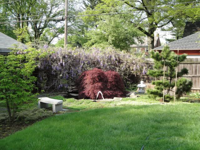 newcamera010.jpg