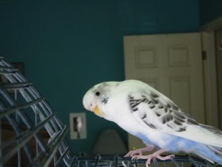 IMG_3105.jpg