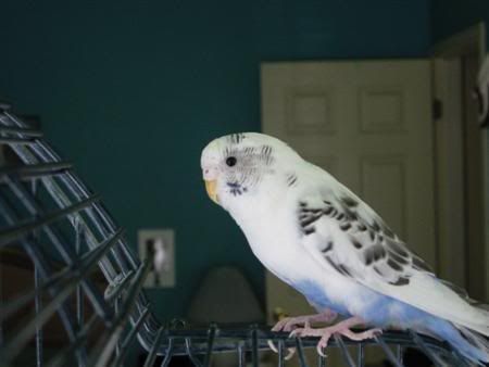 IMG_3106Custom.jpg