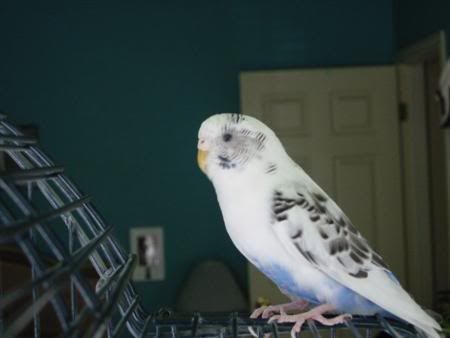 IMG_3107.jpg