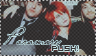 grupės Paramore fanų forumas. užeik.