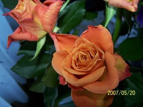 Photobucket - Video and Image Hosting
