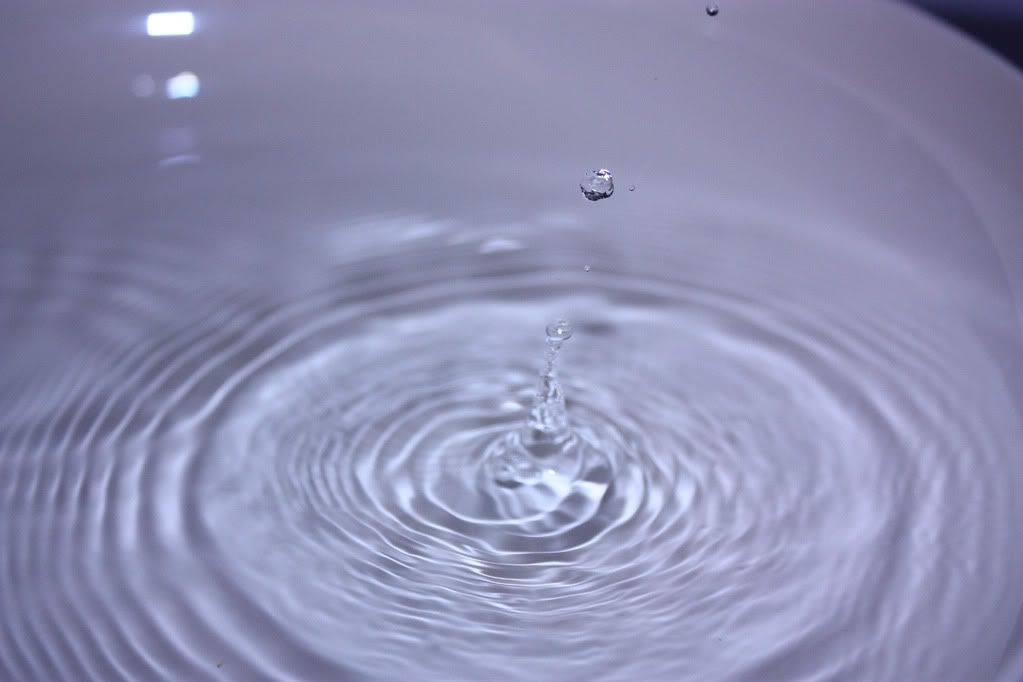 IMAGE: http://i258.photobucket.com/albums/hh250/viper042391/DPP_0004copy.jpg