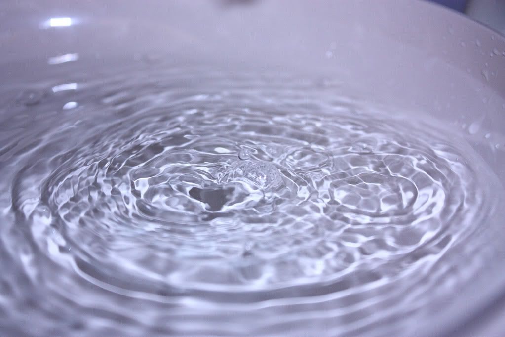 IMAGE: http://i258.photobucket.com/albums/hh250/viper042391/DPP_0005copy.jpg