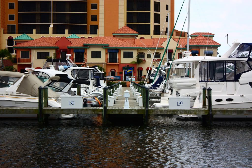 IMAGE: http://i258.photobucket.com/albums/hh250/viper042391/DPP_0018copy.jpg