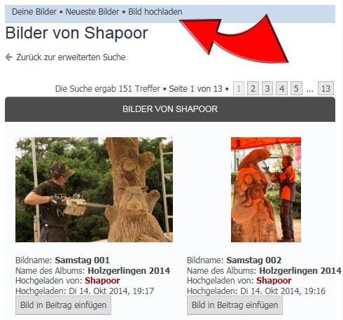 Bild