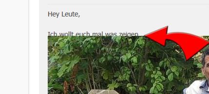 Bild