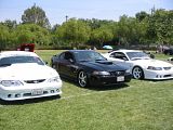 WhtBlkWhtUntameStangs.jpg image by ValleyMustangClub