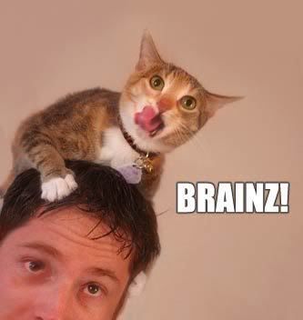 Big Brainz http://sandorblmle.girlshopes.com/brainz/