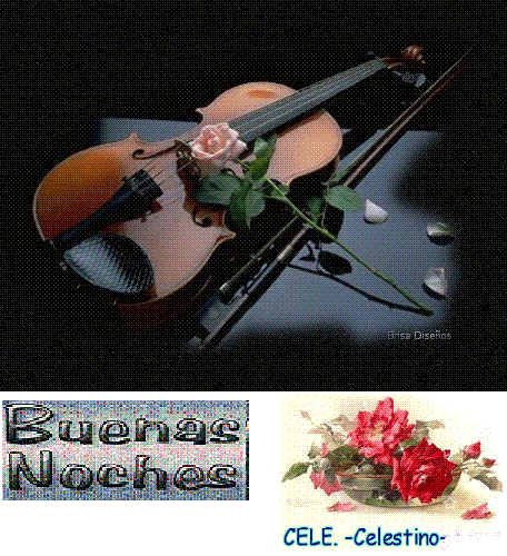 BNochesviolin5B15D.gif picture by cele19331_sol