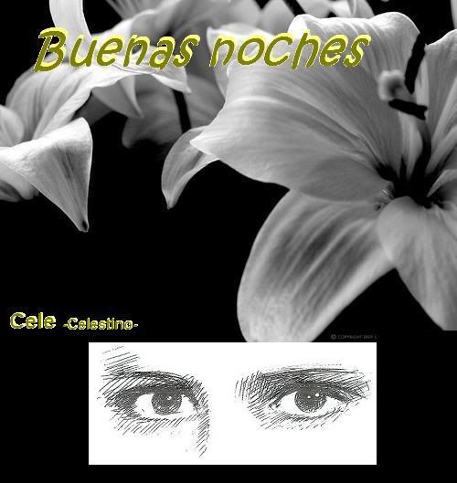 BNochesymisojossintusojosnosonojos.jpg picture by cele19331_sol