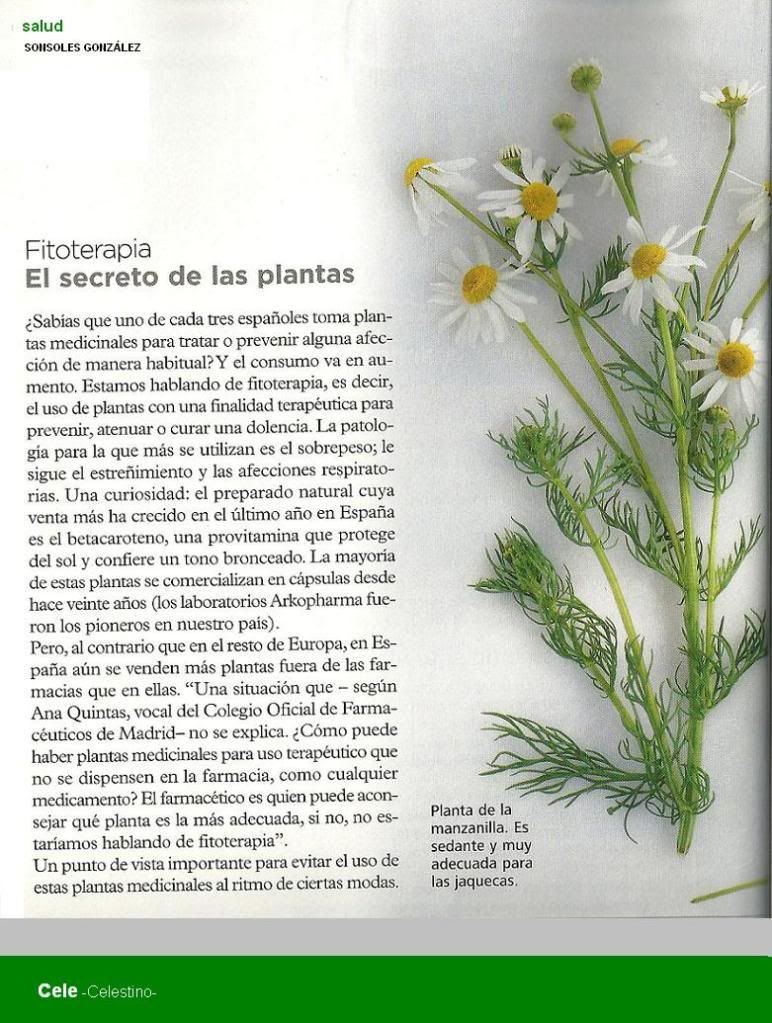 ELSECRETODELASPLANTAS-salud_1.jpg 