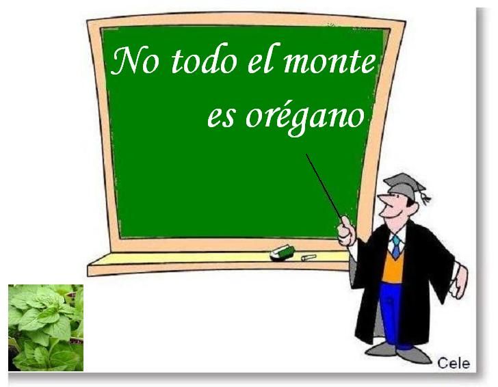 TITULO_Notodoelmonteesorgano.jpg 