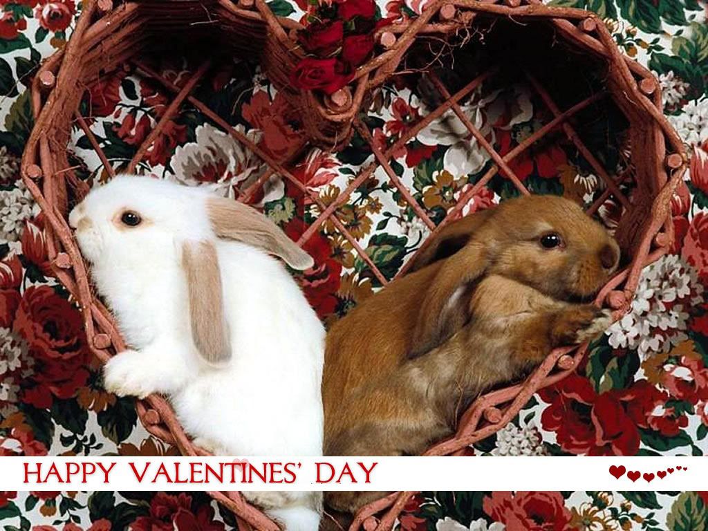 Tons And Tons of Fun Only @ stringz