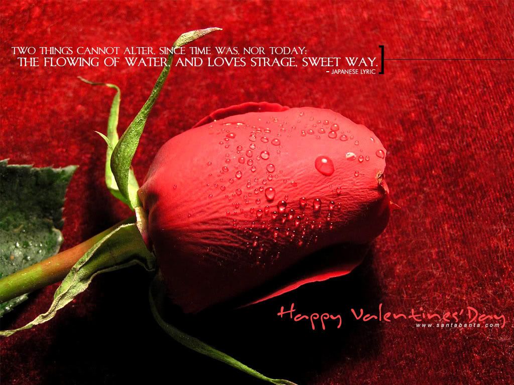 Tons And Tons of Fun Only @ stringz