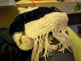 blue and white stripy scarf