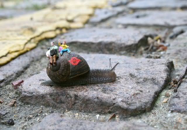 Mini Mundo