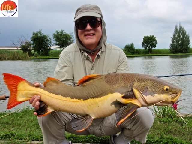 Amazon Catfish