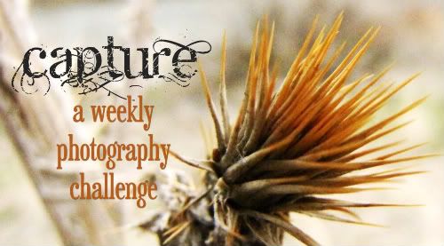 Capture Photography Challenge