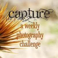 Capture Photography Challenge