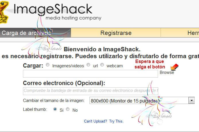 shack12.jpg 