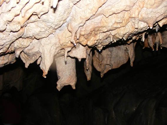stalaktiti(tits-od rije<br />
i sise)