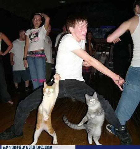 [Image: party-fails-dance-your-cats-off.jpg]