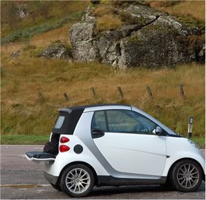 Dallas TX smart car rentals
