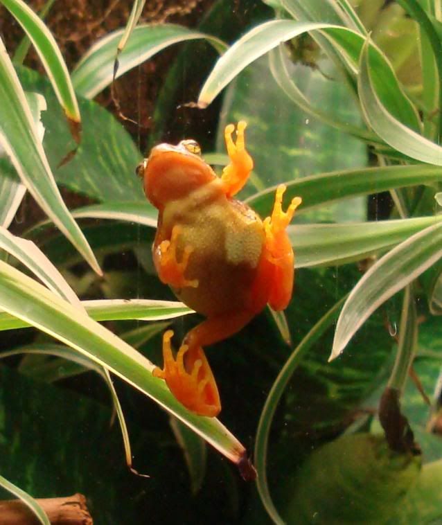 DSC03115_edited.jpg
