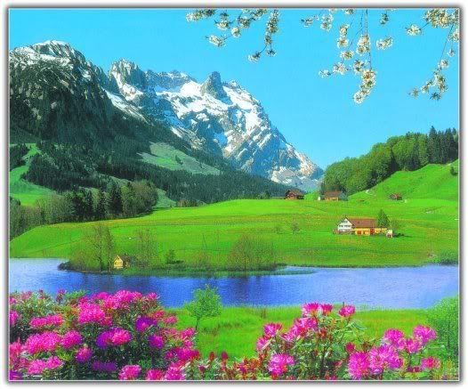 manzara Pictures, Images and Photos