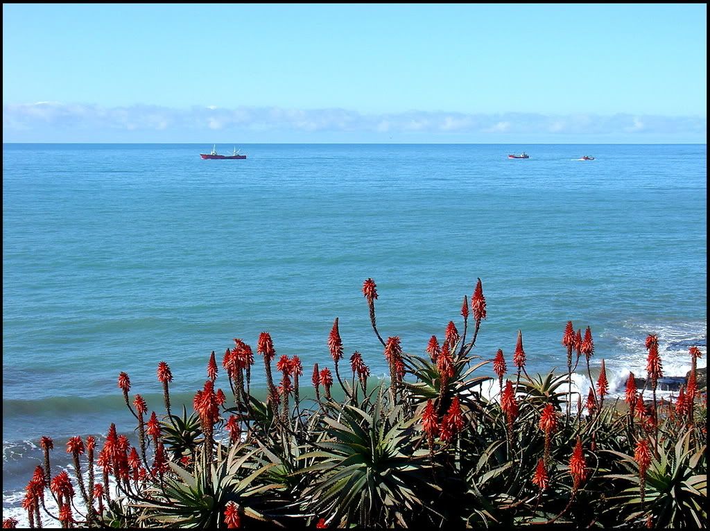 Fotos de Mi Amada Mar Del Plata Fotos de Mi Amada Mar Del Plata