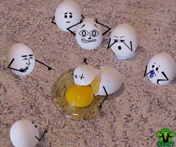 eggs.jpg funny egg image by jeba11208