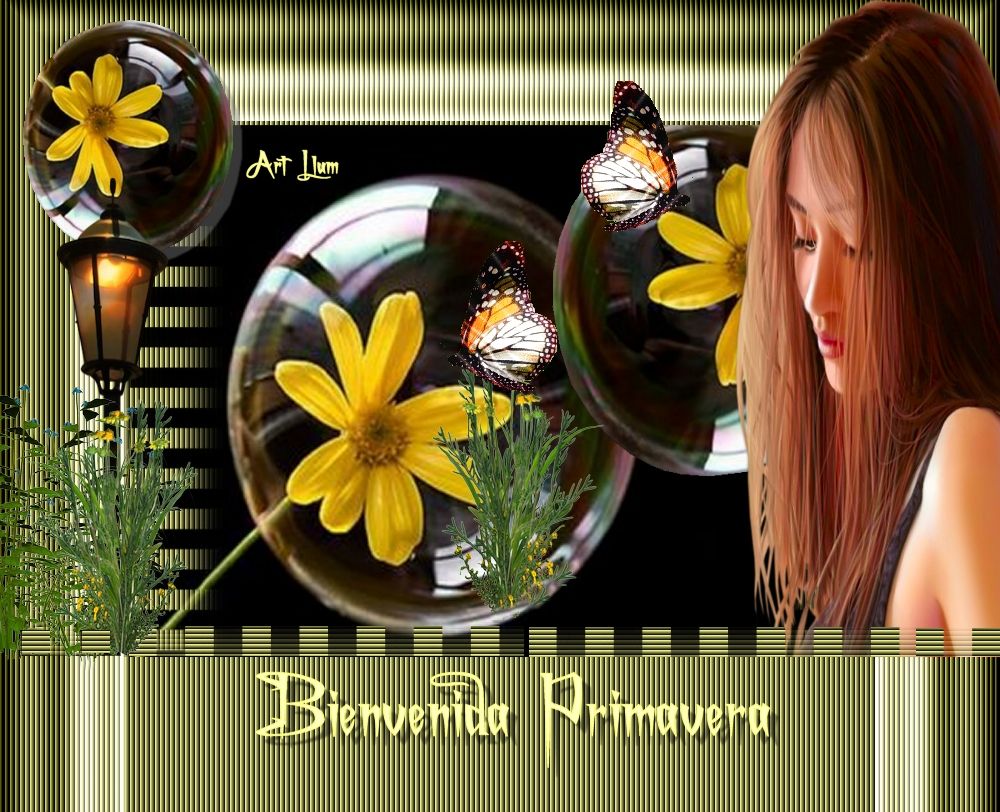 Imagen20_1x1-4.jpg LAYOUT LLUM picture by mariaestrella