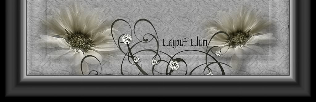 Imagen7_3x1-10.jpg LAYOUT LLUM picture by mariaestrella