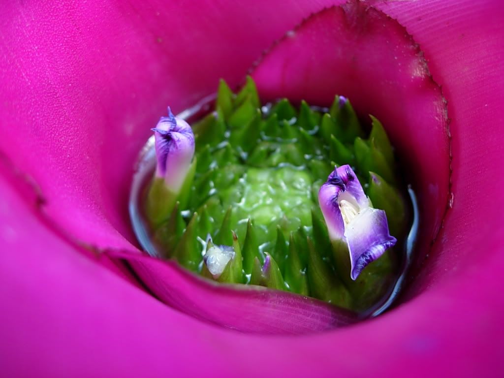 DSCN6569.jpg