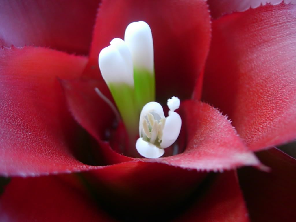 DSCN6570.jpg