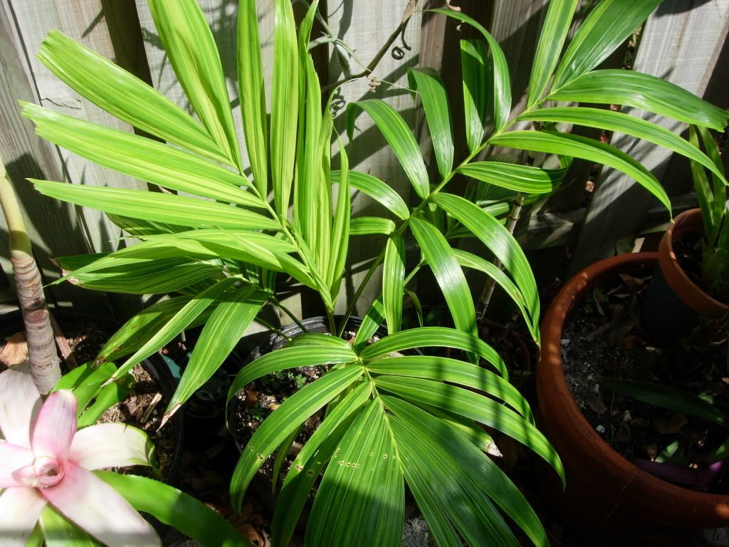 DSCN7245.jpg
