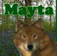 Mayta Avatar