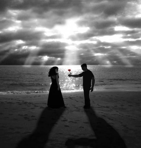 gazi_2002@hotmail.com