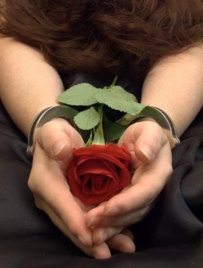 gazi_2002@hotmail.com